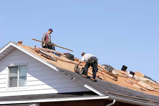 Best Skylight Installation and Repair  in Fremont, NC